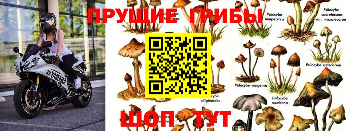 Комсомольск-на-Амуре  Меф МЯУ МЯУ   ГАШИШ  МАРИХУАНА  NBOMe  Купить наркоту  Вход с VPN  ТГК  Гашиш  Alpha-PVP СК кристаллы  Меф МЯУ МЯУ  Кокаин 